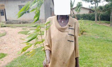 Nyanza: Umukecuru w’imyaka 70 yatawe muri yombi akekwaho guhinga urumogi