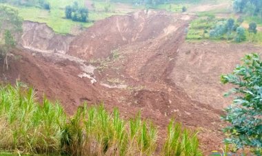 Rubavu: Abana babiri  bishwe n'inkangu yabereye ku musozi wa Huye