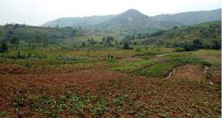 Nyanza:Abahinzi bakorera mu gishanga cya Mwogo gikunze kwibasirwa n’ibiza barasaba ko cyatunganywa.