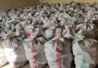 Food and fuel: How a rice farmers cooperative is saving Rwanda’s forest cover