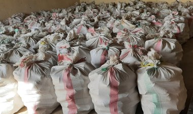Food and fuel: How a rice farmers cooperative is saving Rwanda’s forest cover